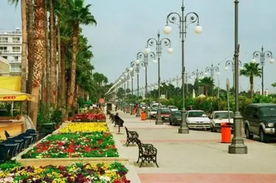 a city street with benches and flowers and cars at AirBnSea City Centre Side Sea view Apartments in Larnaka