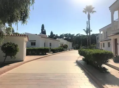 a street with white houses and a palm tree at Fig Tree Z Holiday Resort in Paralimni
