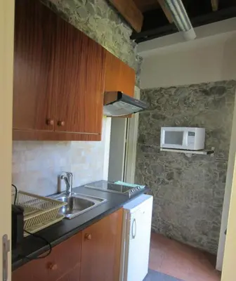 a kitchen with a sink and a microwave on the wall at Ayios Andronikos Agrotourism House in Kalopanayiotis