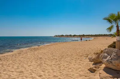 a sandy beach with a palm tree and the ocean at Infinity View Villa in Ayia Napa