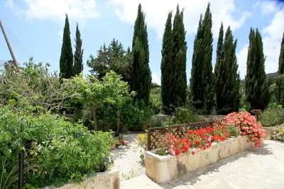 a garden with a bunch of trees and flowers at Pissouri Bay Bungalow in Pissouri
