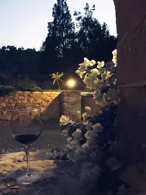 a glass of wine sitting next to a stone wall at The Goathouse in Larnaka