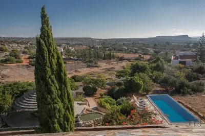 an aerial view of a garden with a large tree at Villa Othelo in Ayia Napa