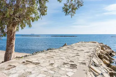 a stone wall next to the water with a tree at Carmencita Studio B14 with pool in Limassol