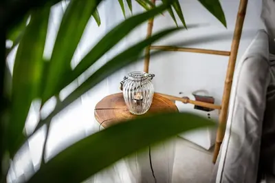 a glass vase sitting on a wooden table next to a plant at Protaras Villa Nicol 21 in Paralimni