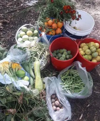 a bunch of vegetables in plastic bags on the ground at Lasmari's Bouquet in Sykopetra