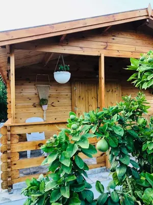 a wooden structure with a plant in front of it at Happy Glamping Cy in Ayios Theodhoros