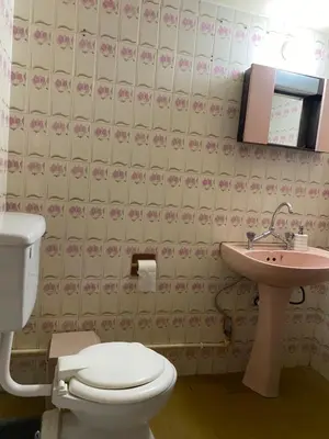 a bathroom with a toilet and a sink at Past or Tail rooms in Larnaka