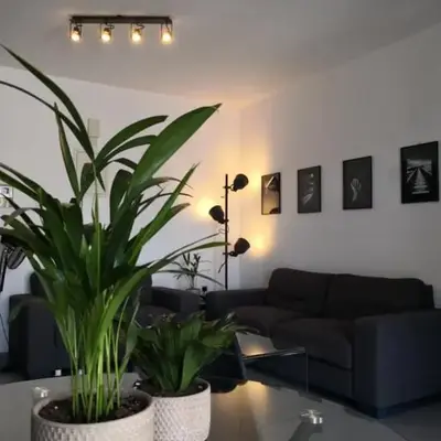 Loizou Holdings Flat 301