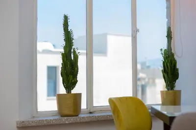 two plants in vases sitting on a window sill at 1-80 Collection by TrulyCyprus in Limassol