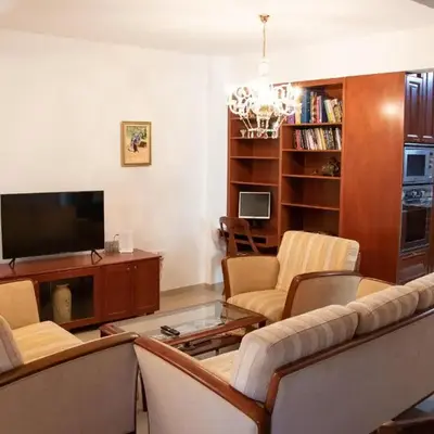 Luxury Apartment