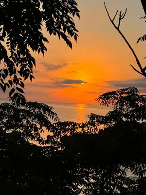 a sunset over the ocean with trees in the foreground at Villa Naxos in Protaras