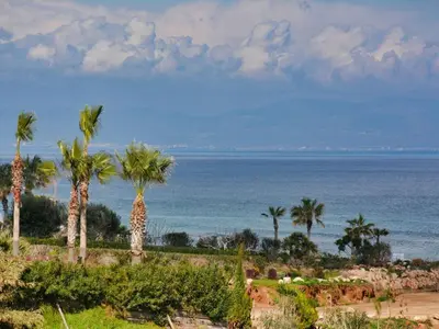 a group of palm trees in front of the ocean at Villa Limni Dyo - Luxurious Contemporary 3 Bedroom Villa With Sea Views And Hot in Paralimni