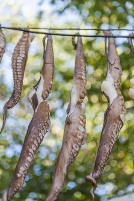 a bunch of food hanging from a string at Villa Kono Sunshine - Luxury 4 Bedroom Cape Greco - Villa Close To Beach in Protaras