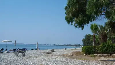 a beach with a bench and palm trees and the water at Yialos Holiday Apartments in Pervolia