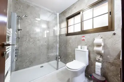 a bathroom with a toilet and a shower at Pinecone Platres - 3 Units in Platres
