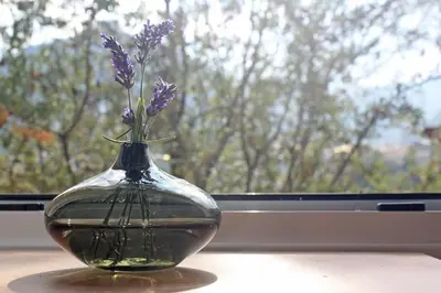 a vase with purple flowers sitting on a window sill at Laoni Guest House in Moutoullas, Marathasa in Limassol