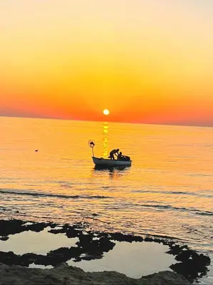 a dog in a boat in the ocean at sunset at Panthoma Casa in Ayia Napa