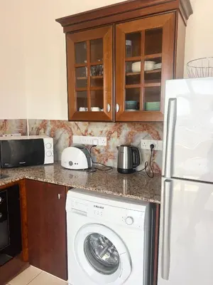 a kitchen with a washing machine and a refrigerator at Apartment Capella, Larnaca in Larnaka