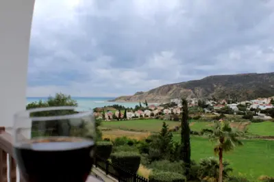 a glass of wine on a balcony with a view at skeleas 10 in Pissouri