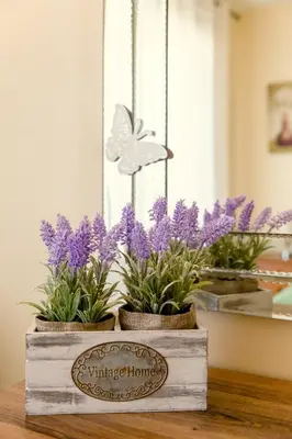 two potted plants in a wooden box with a butterfly at NISSI BEACH POOL VIEW APARTMENT FREE WIFI in Ayia Napa