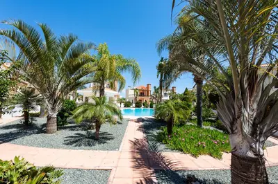 a resort with a swimming pool and palm trees at Villa Alexandra by Ezoria Villas in Ayia Napa