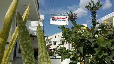 a sign in front of a building with plants at Milounapa in Ayia Napa