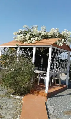 a gazebo with flowers on top of it at MERSINERA PARADISE GARDEN STARS HOUSE in Larnaka