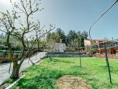 a yard with a tree and a fence at Milea Mansion in Limassol