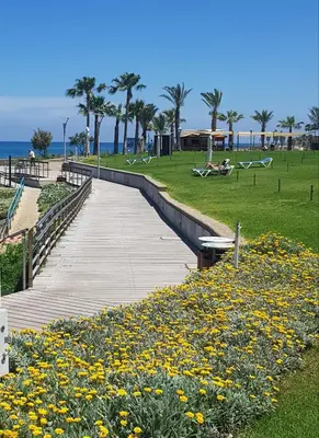 a wooden boardwalk in a park with yellow flowers at PERNERA 33 Beach House in Protaras