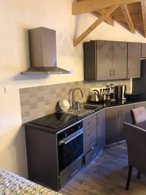 a kitchen with a sink and a stove top oven at To Spiti tou Faliari in Platanistasa