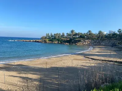 an empty beach with trees and the ocean at Olive Tree Villa - Protaras in Protaras