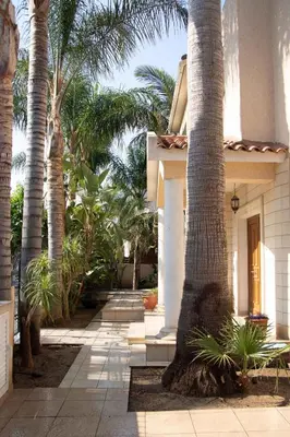 a courtyard with palm trees in front of a building at VillaHoliday in Voroklini