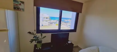 a room with a window and a table with a plant at STAY Trinity Beach Apts in Paralimni