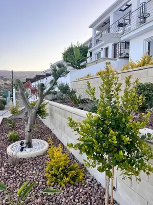 a garden in front of a house with trees at Pissouri Image in Pissouri