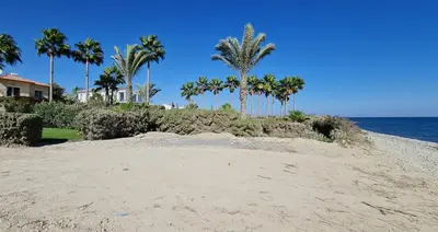 a sandy beach with palm trees and the ocean at Villa del Mar Heated pool in Mazotos