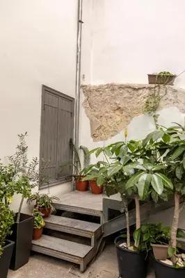 a group of potted plants sitting next to a door at Edem Traditional House in Larnaka
