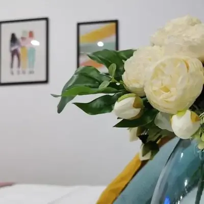 Pretty and quiet studio
