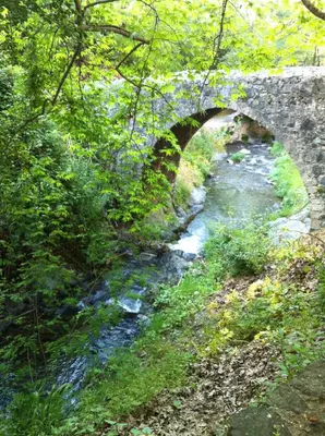 an old stone bridge over a stream in a forest at Maison Elena in Kalopanayiotis