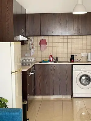 a kitchen with wooden cabinets and a washer and dryer at Cyprus Penelope in Larnaka