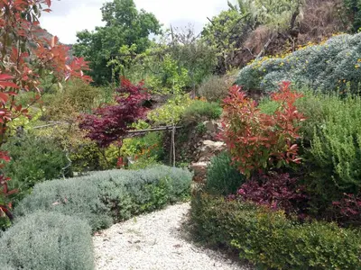 a garden with many different plants and flowers at Rodous Village House in Limassol