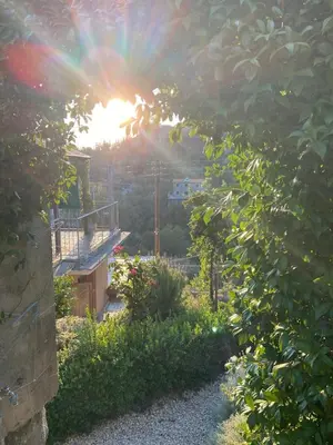 a view of the sun shining through a garden at Rodous Village House in Limassol