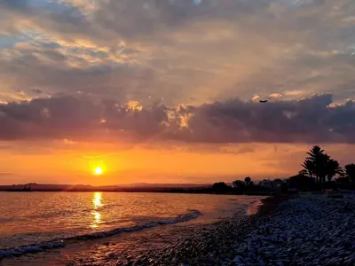 a sunset on a beach with a bird flying at AFRODITI APARTMENTs in Pervolia