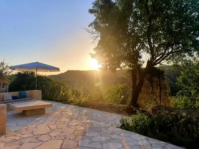 a stone patio with a bench and a tree at myLofou in Lofou