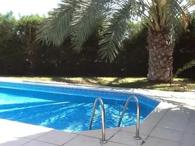 a swimming pool with a palm tree in the background at Katikies 19 in Pissouri