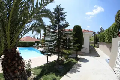 a palm tree and a swimming pool in a yard at Eve Pissouri Soultanina Villa in Pissouri