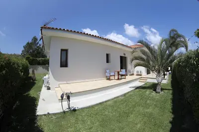 a white villa with a yard with a palm tree at Eve Pissouri Soultanina Villa in Pissouri