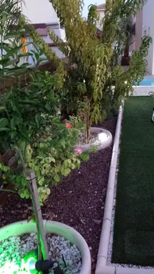 a garden with trees and plants in a yard at Antonia Villa in Protaras