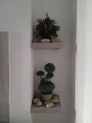 two shelves with plants and rocks on a wall at Adorable Cozy Apartment in Aglantzia