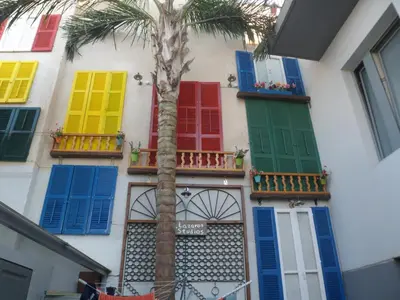 a building with colorful shuttered windows and a palm tree at St. Lazaros Studios in Larnaka